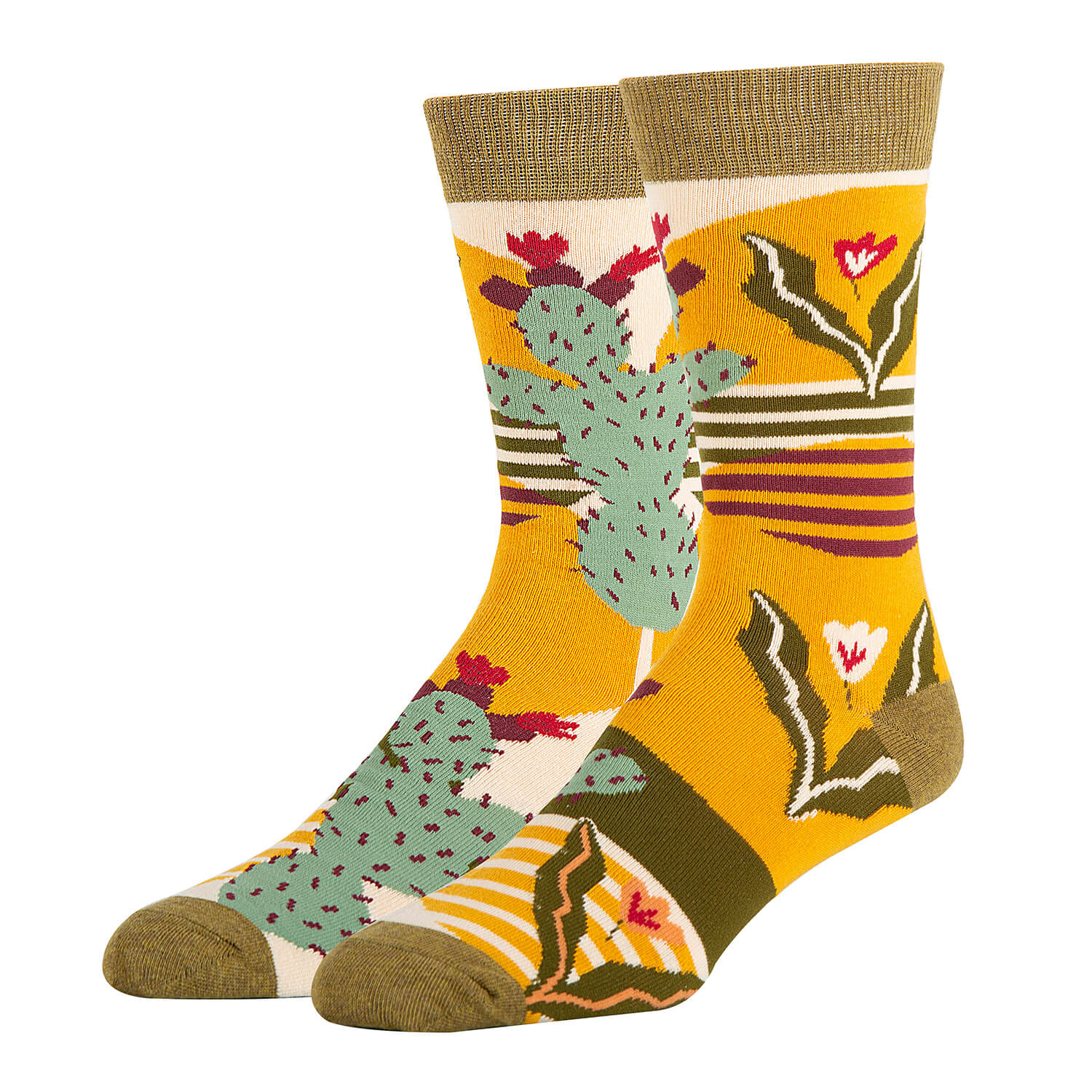 Sol de Cactus Socks