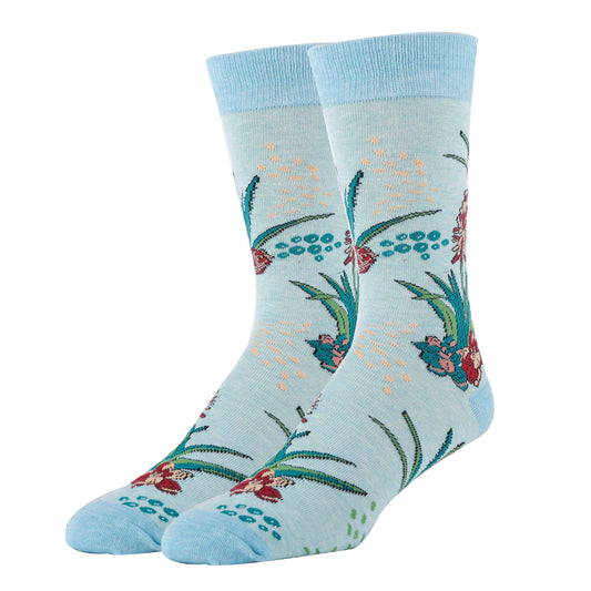Aloe Vera Socks | Fashion Dress Socks for Men